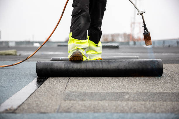 Best Roof Coating and Sealing  in Barneveld, WI